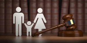 Paternity rights for Logan: two consultation options