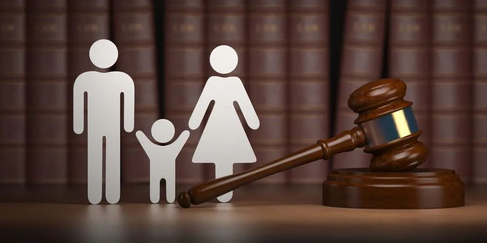 Paternity rights for Logan: two consultation options